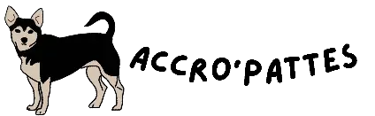 Arccro'Pattes